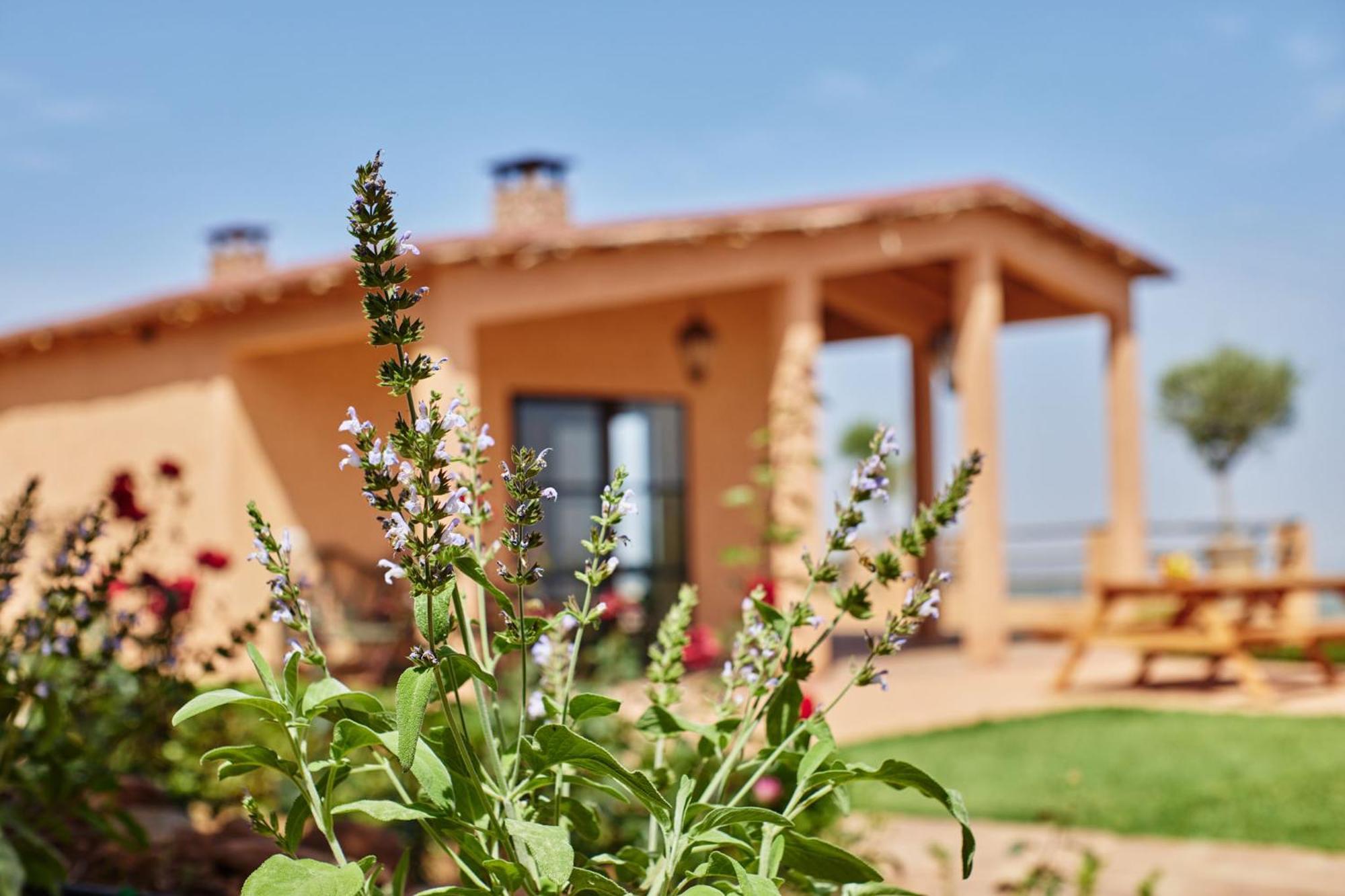 Dar Imiri Bed & Breakfast Ourika Bagian luar foto